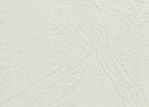 crop,x_0,y_0,w_306,h_220 - 2024-07-30T113355.905.jpeg
