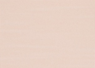 crop,x_0,y_0,w_306,h_220 (26).jpeg