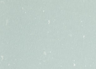 crop,x_0,y_0,w_306,h_220 (30).jpeg