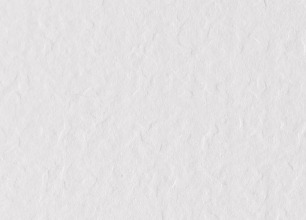 crop,x_0,y_0,w_306,h_220 (95).jpeg